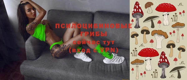 спайс Арсеньев