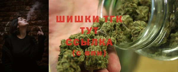 спайс Арсеньев