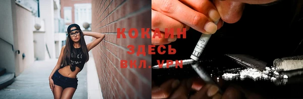 спайс Арсеньев