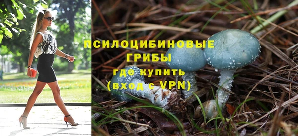 спайс Арсеньев